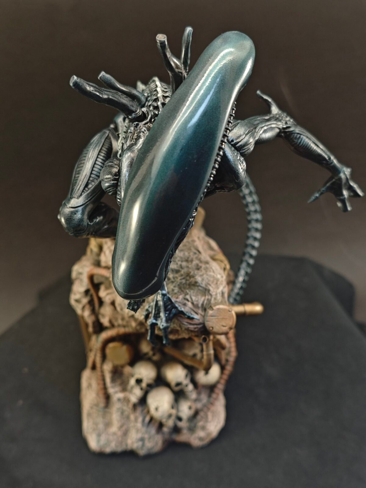Top side head shot of Xenomorph in aggressive crouched stance with extended arms
