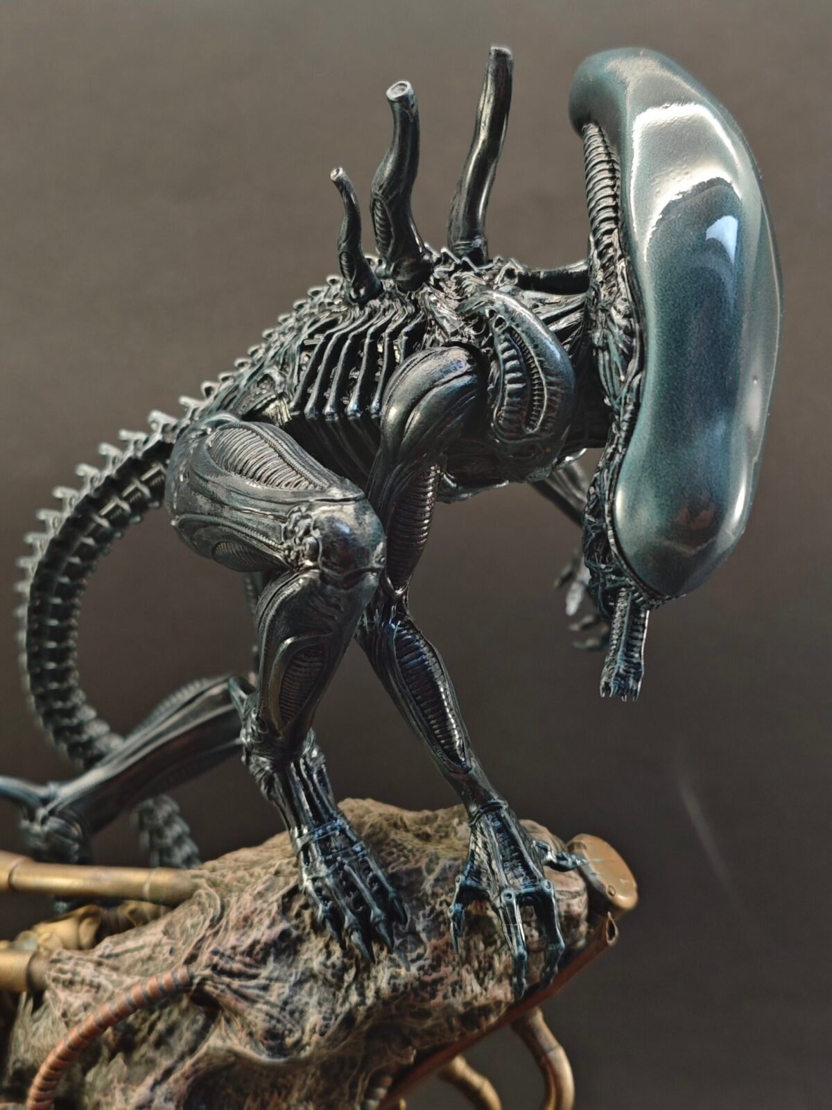 Angled front shot showing open jaw, ribbed chest, and dark glossy finish